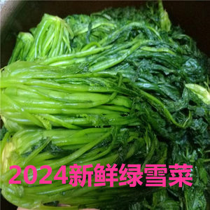 2024东台优质绿雪菜咸菜袋装绿色雪里红蕻新鲜腌制下饭菜酱菜整箱