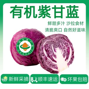 【有机】紫甘蓝紫圆白菜轻食沙拉卷心包菜生吃榨汁蔬菜盲盒套餐