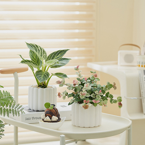 北欧ins风桌面绿植盆栽懒人好养室内净化空气花卉客厅办公室植物