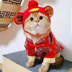 小体泰迪宠物猫咪衣服秋冬天穿的棉衣喜庆过新年大红色中国风唐装
