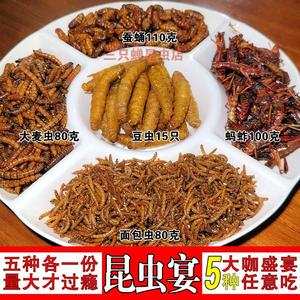 油炸蚂蚱豆虫蚕蛹蝗虫大麦虫面包虫5种套餐即食昆虫零食虫子美食