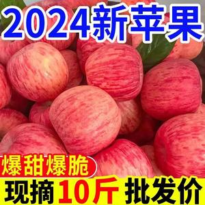 正宗陕西洛川苹果10斤新鲜水果当季红富士冰糖心一级脆甜整箱包邮