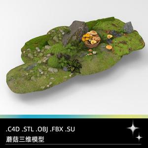 C4D FBX STL OBJ SU野生蘑菇菌子草地青苔石头石块三维3D模型素材
