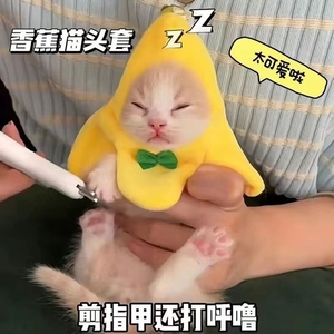 香蕉猫mini头套可爱猫咪摆拍道具头套毛绒玩具香蕉猫幼猫安抚公仔