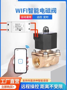 定时水阀开关wifi远程遥控电磁阀220v手机智能水管阀门自动控制阀