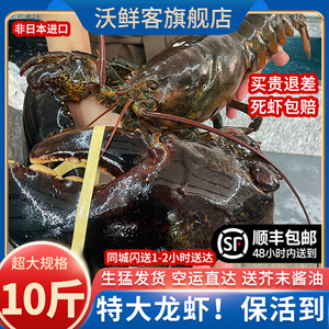 【保活】波士顿龙虾鲜活海鲜水产奥龙特大10斤大龙虾加拿大波龙虾