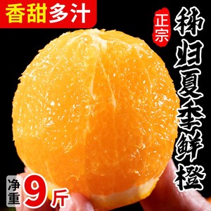 秭归夏橙10斤新鲜橙子水果当季冰糖甜橙果冻手剥脐橙高山橙整箱大