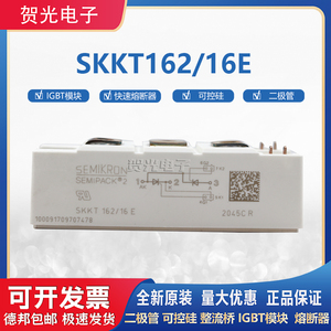 全新原装西门康可控硅模块SKKT162/16E SKKT106/16E  SKKD100/16