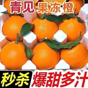 四川青见果冻橙当季整箱包邮新鲜桔子现摘丑柑橘蜜橘孕妇水果10斤
