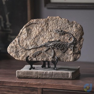 恐龙化石标本贵州龙古生物学客厅摆件电视柜饰品原石工艺品始祖鸟
