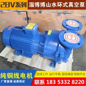 淄博2BV水环式真空泵工业用抽真空机负压泵高真空抽气小型防爆