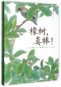 正版九成新图书|亲近自然生态绘本：橡树，真棒！李娍实江苏凤凰
