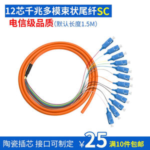 汤湖电信级LC/SC12芯束状尾纤OM3千兆万兆多模光纤跳线束状尾纤12