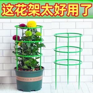 植物爬藤架子多层可拼接园艺支架绿萝支架室内阳台支撑杆户外花架