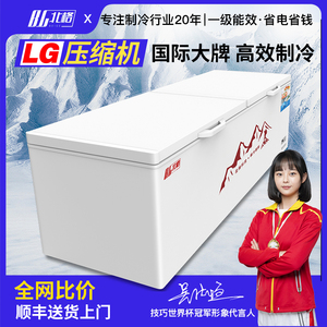 冰柜商用冷冻柜家用冷藏两用卧式双温大容量冷柜雪柜小冰柜电冰柜