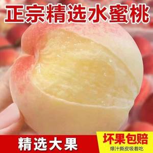 正宗宁波奉化水蜜桃5斤桃子水果应当季礼盒装整箱包邮软油脆甜桃