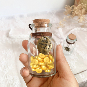 装金豆豆的瓶子攒存容器钱罐子小型玻璃瓶空精致迷你密封可爱收纳