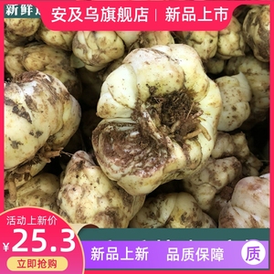 年挖破挖碎新鲜食用百合破子2500g宜兴农家土特产3斤2斤散装