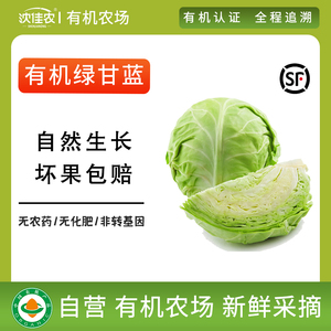 沈佳农有机绿甘蓝圆白菜新鲜蔬菜配送大头菜包菜卷心菜沙拉500g