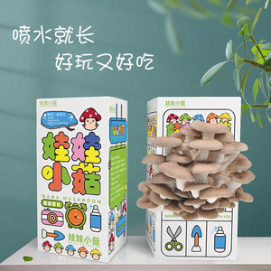 室内迷你菌包diy儿童蘑菇礼物种植盒桌面种植体验菌类趣味玩具盒