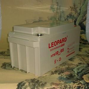 美洲豹LEOPARD蓄电池HTS12-100 12V100AH机房UPS电源 启动电源