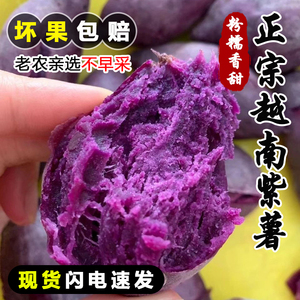 新鲜越南紫薯珍珠板栗紫薯粉糯甜紫现挖5斤时令代餐粗粮特级番薯
