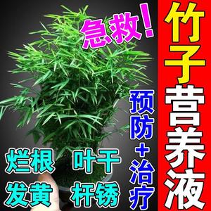 竹子专用营养液促生长红竹红观音竹有机肥料预防治疗叶发黄干尖剂