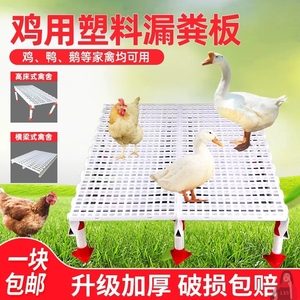 鸡笼漏粪板鸡用鸡粪鸽舍塑料漏粪板养小鸡鸭鹅漏粪网养殖专用设备