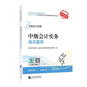 正版九成新图书|中级会计职称教材配套辅导2019 2019年会计专业技