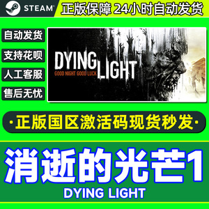 steam消逝的光芒决定版 CDKey Dying Light 白金加强版终极版