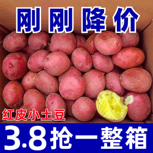 云南高山红皮小土豆新鲜10斤农家自种商用珍珠批发黄心洋芋包邮大