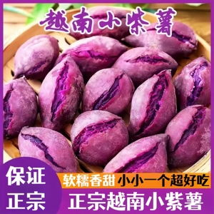 正宗越南珍珠小紫薯5斤新鲜紫心红薯番薯地瓜烟薯蜜薯早代餐紫薯