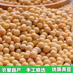 优质新黄豆非转基因黄豆发芽生豆芽打豆浆专用大豆农家种5斤黄豆