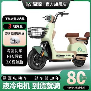 绿源FOO2电动车新国标电动自行车48V锂电铅酸代步车通用通勤车