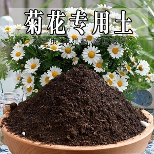 菊花专用土雏菊花专用营养土盆栽养花种花土通用种植酸性土壤肥料
