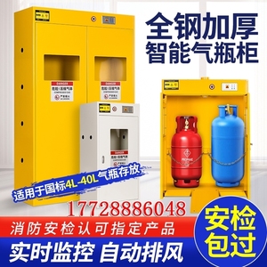 安全柜防爆气瓶柜乙炔氧气液化气体双瓶实验室储存箱钢瓶煤气罐柜