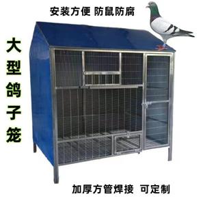 鸽舍鸽棚拼装鸽笼室外户外大型鸟笼定制加粗加大养殖笼可防鼠厂家