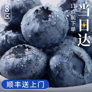 蓝莓鲜果非云南蓝莓怡颗莓蓝莓迷迭蓝蓝莓新鲜水果蓝梅高山大果顺