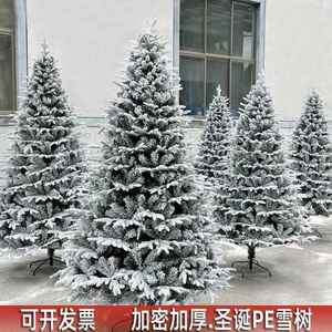 圣诞节白色雪花植绒PE圣诞树1.5米1.8米2.1米3米仿真雪松雪景装饰
