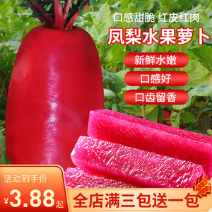 凤梨水果萝卜种子红皮红肉种籽甜脆萝卜蔬菜种子紫美人红萝卜四季