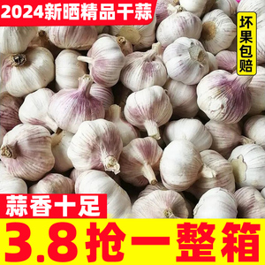 正宗大蒜头干蒜5斤2024新晒农家大蒜种子籽批发新鲜蔬菜紫皮大蒜