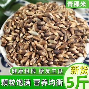 高原青稞米新米大麦仁5斤香格里拉农家优质精选膳食粗粮营养粥饭