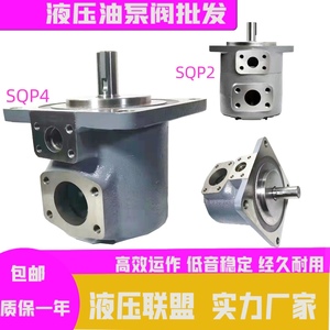 东京计器SQP21-31叶片泵SQP1-P2-P3-P4双联叶片泵SQP41/42/43打包
