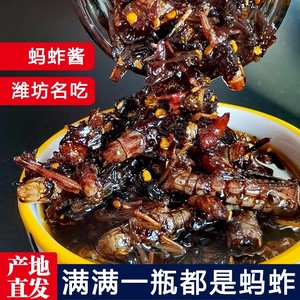 山东蚂蚱酱潍坊特产麻辣酱下饭菜拌饭神器油炸昆虫辣酱正宗蚱蜢酱