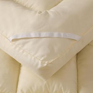 五星级酒店床垫羽绒棉榻榻米加厚10cm软床褥可折叠1.5m1.8米垫被