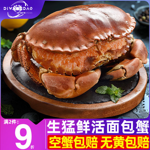鲜活到家面包蟹新鲜大螃蟹帝王蟹海鲜水产特大超大黄金蟹珍宝熟冻