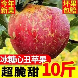 大凉山丑苹果10斤新鲜水果当季现摘盐源红富士冰糖心苹果整箱包邮
