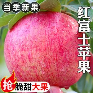 陕西红富士苹果斤水果新鲜应当季丑萍果整箱苹果大脆甜冰糖心