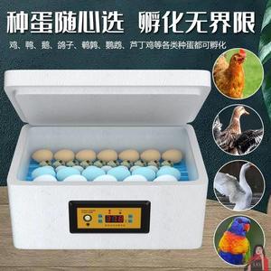 孵化泡沫箱孵化器小型家用水床孵化器全自动智能鸭鹅鸽子芦丁鸡孵