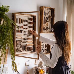 实木标本相框立体昆虫植物干花diy墙面装饰贝壳展示收纳画框
